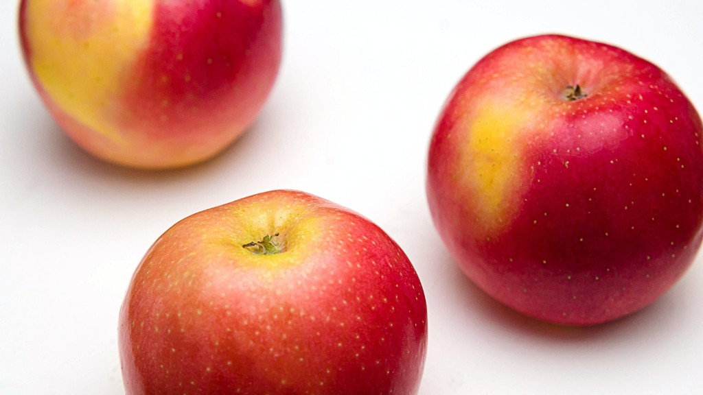 Kan hundar äta äppelfritter?